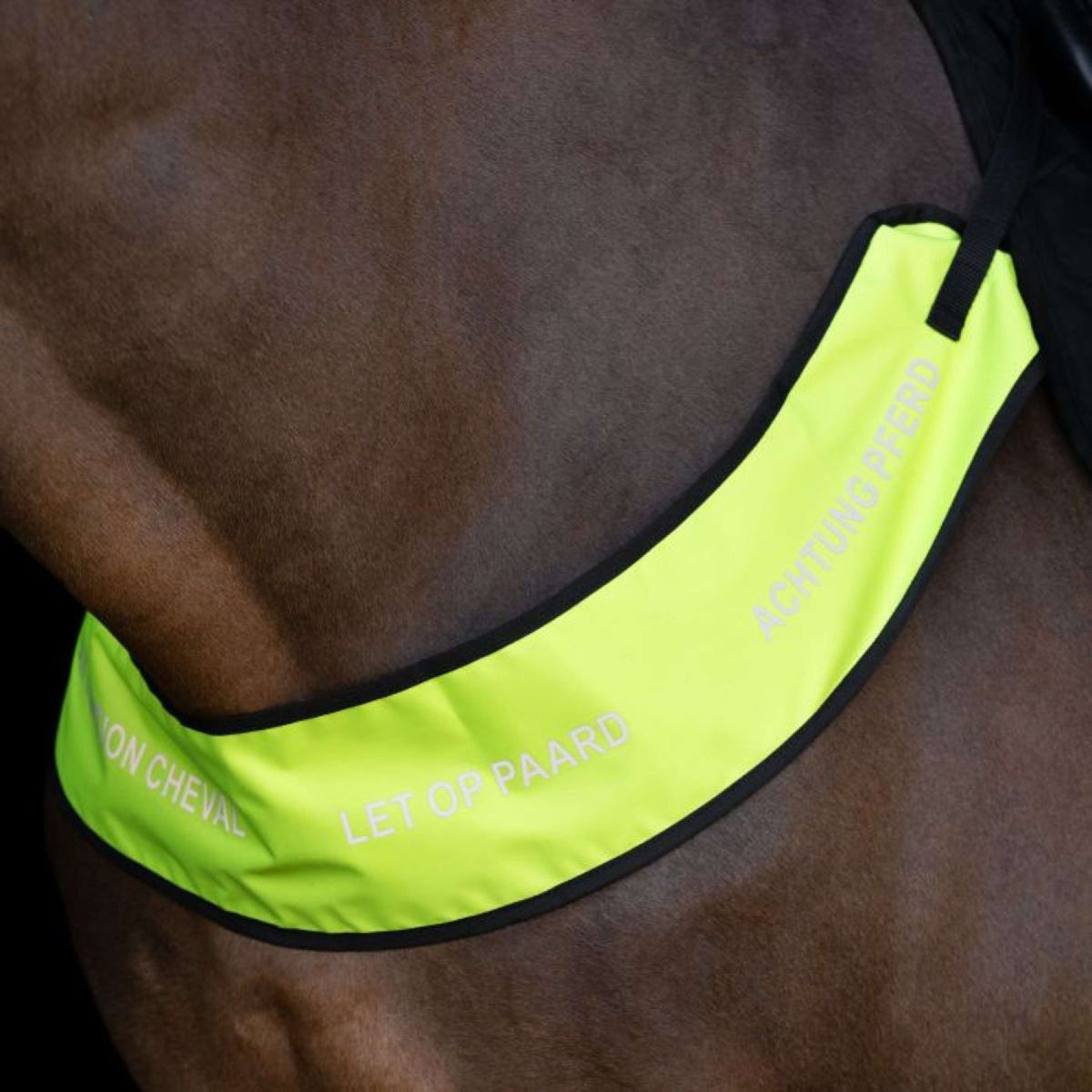 Imperial Riding Borsttuig IRHReflective Geel