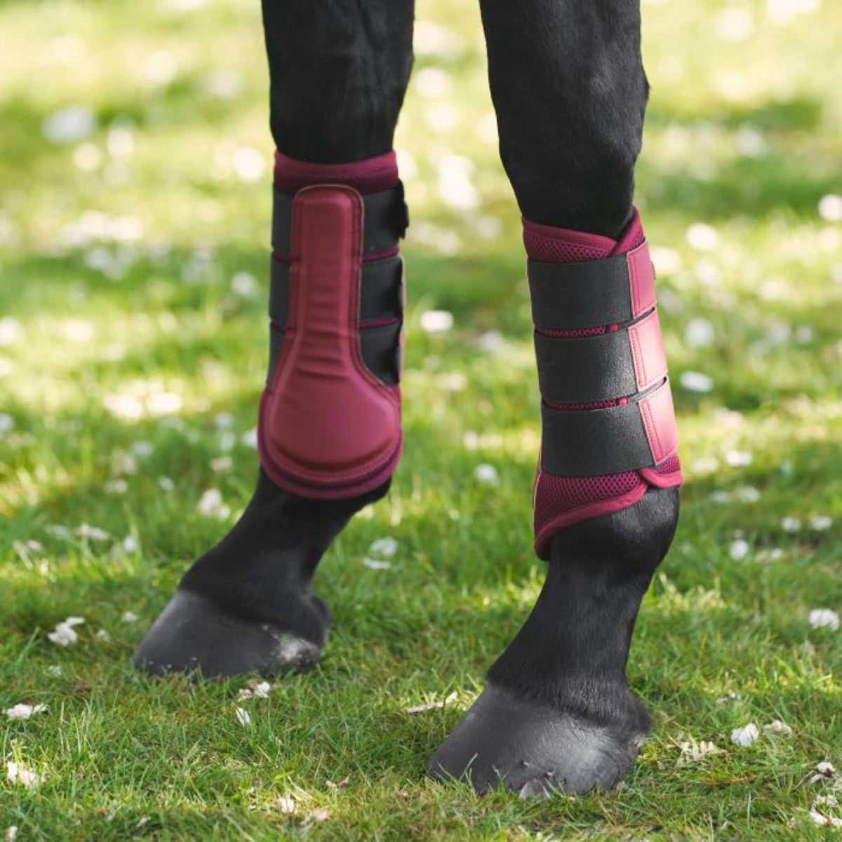 Imperial Riding Peesbeschermers IRHCloud Dancer Fig