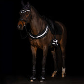 Imperial Riding Oornetje IRHLuminous Zwart