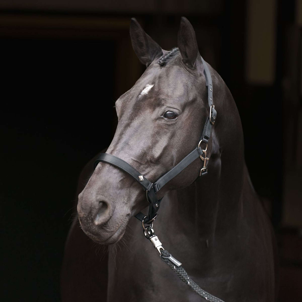 Imperial Riding Halster IRHRebel Zwart