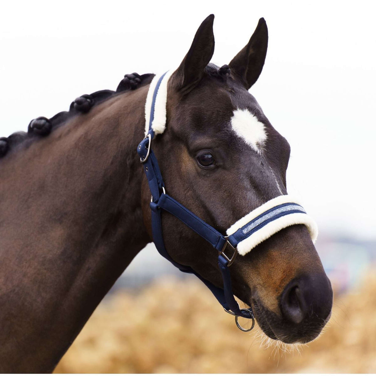 Imperial Riding Halster IRHJewel Grijs/Zand