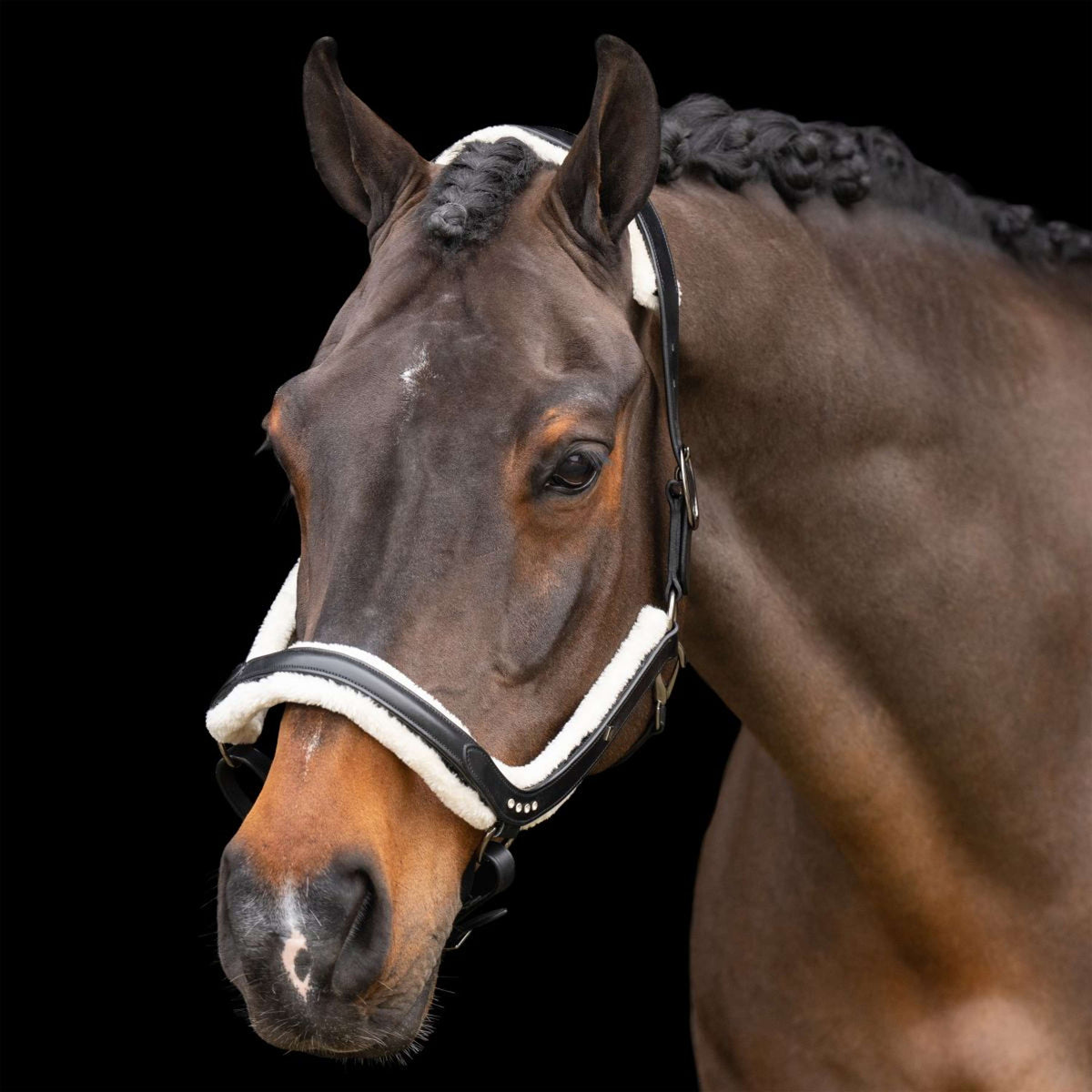 Imperial Riding Halster IRHLuxury Zwart