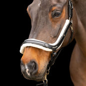 Imperial Riding Halster IRHLuxury Zwart