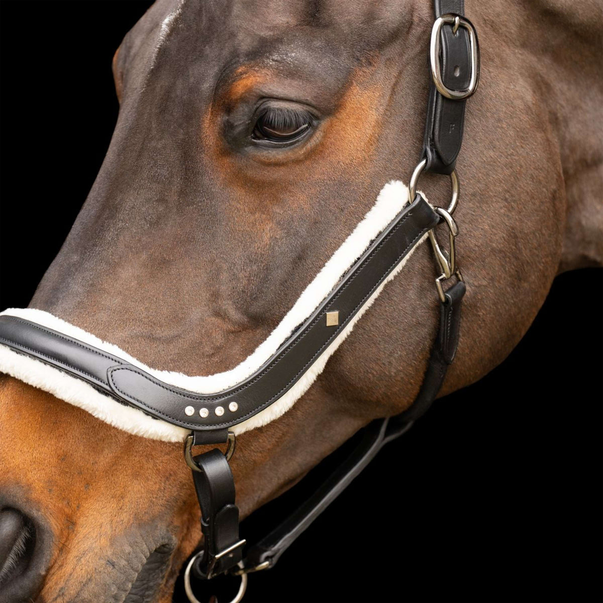 Imperial Riding Halster IRHLuxury Zwart