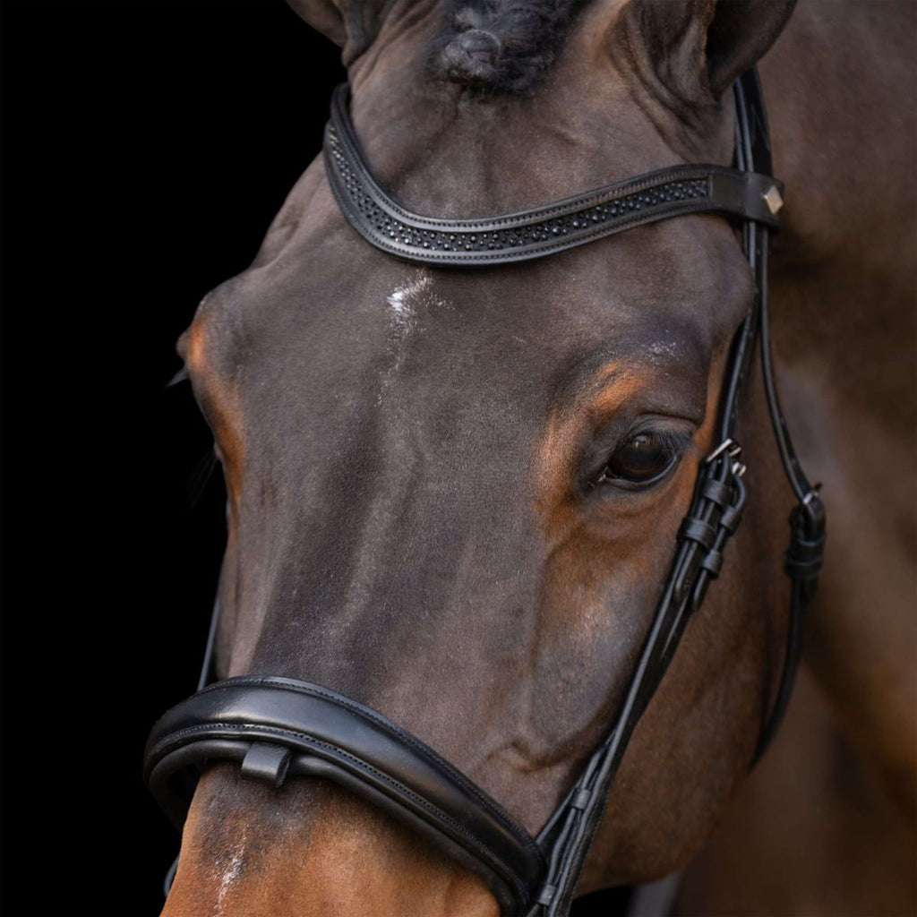 Imperial Riding Hoofdstel IRH Zwart/Zwart