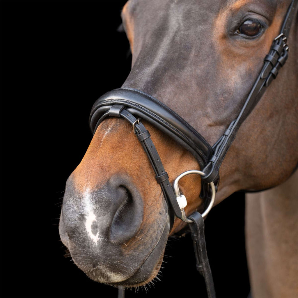 Imperial Riding Hoofdstel IRH Zwart/Zwart