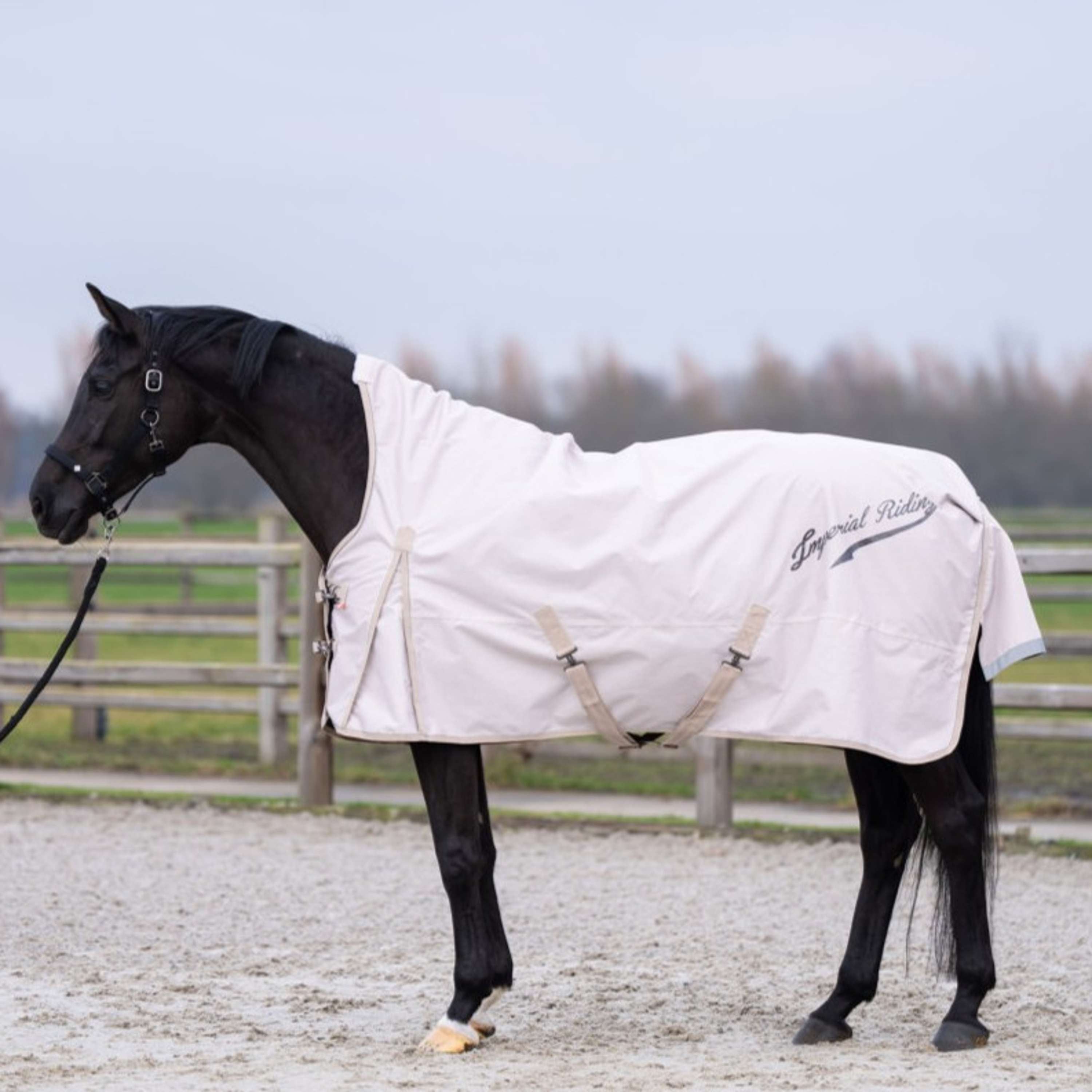 Imperial Riding Outdoordeken IRHSuper-dry AOP 100g Taupe