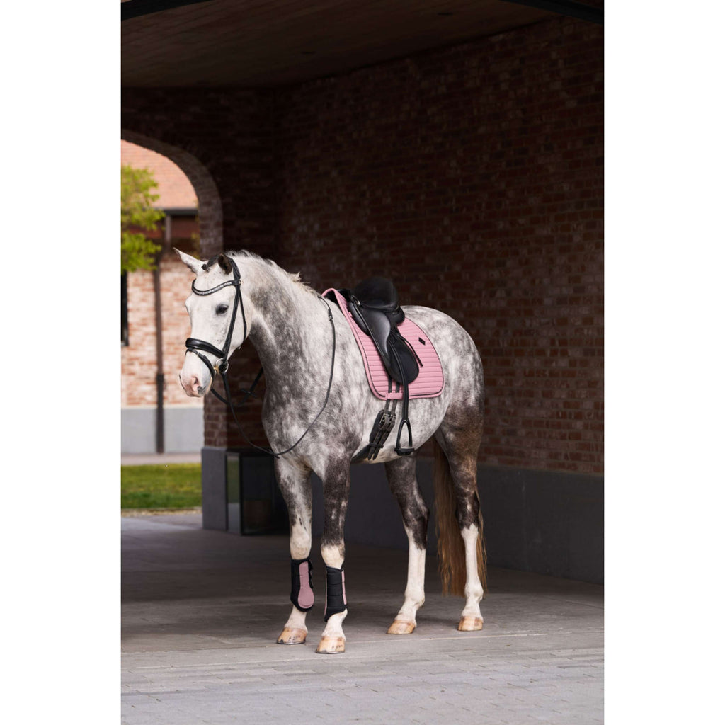 Imperial Riding Dressage Boots IRHCloud Dancer Mauve
