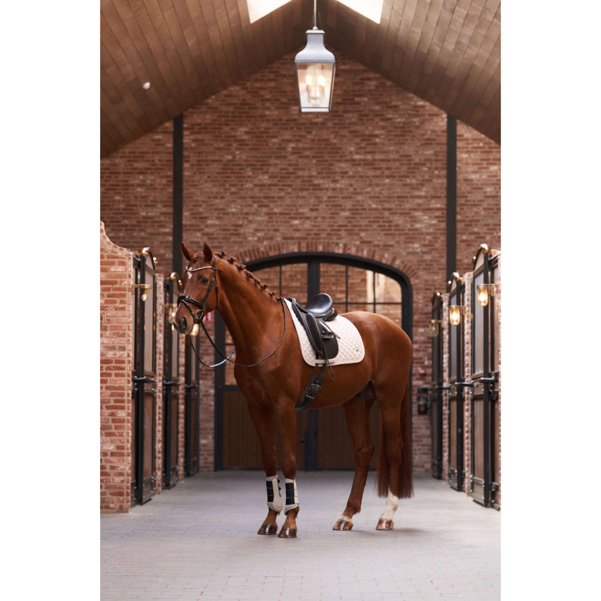 Imperial Riding Zadeldekje IRHPenny herringbone Dressuur Taupe