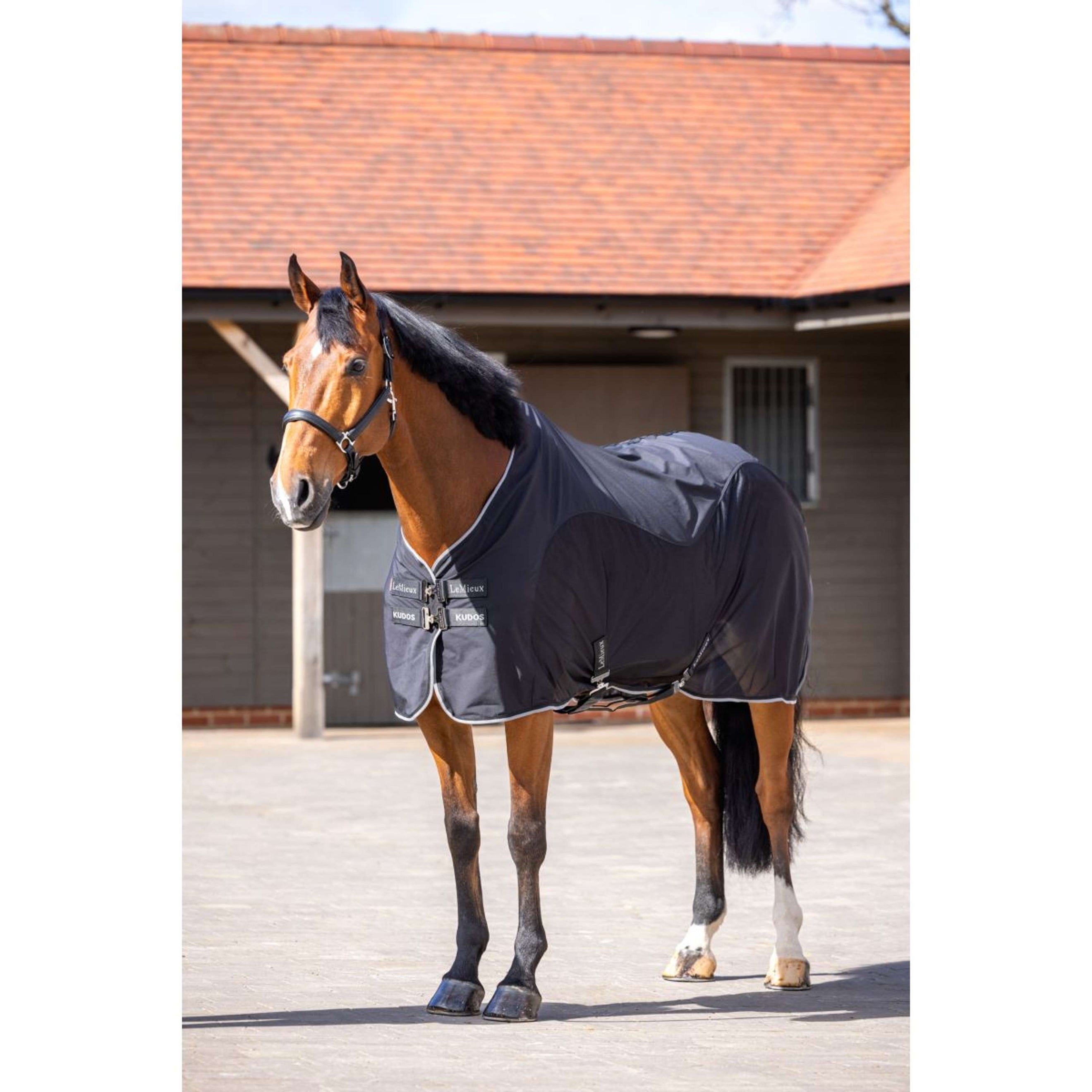 LeMieux Cooler Kudos Hybrid Zwart LeMieux Cooler Kudos Hybrid Zwart