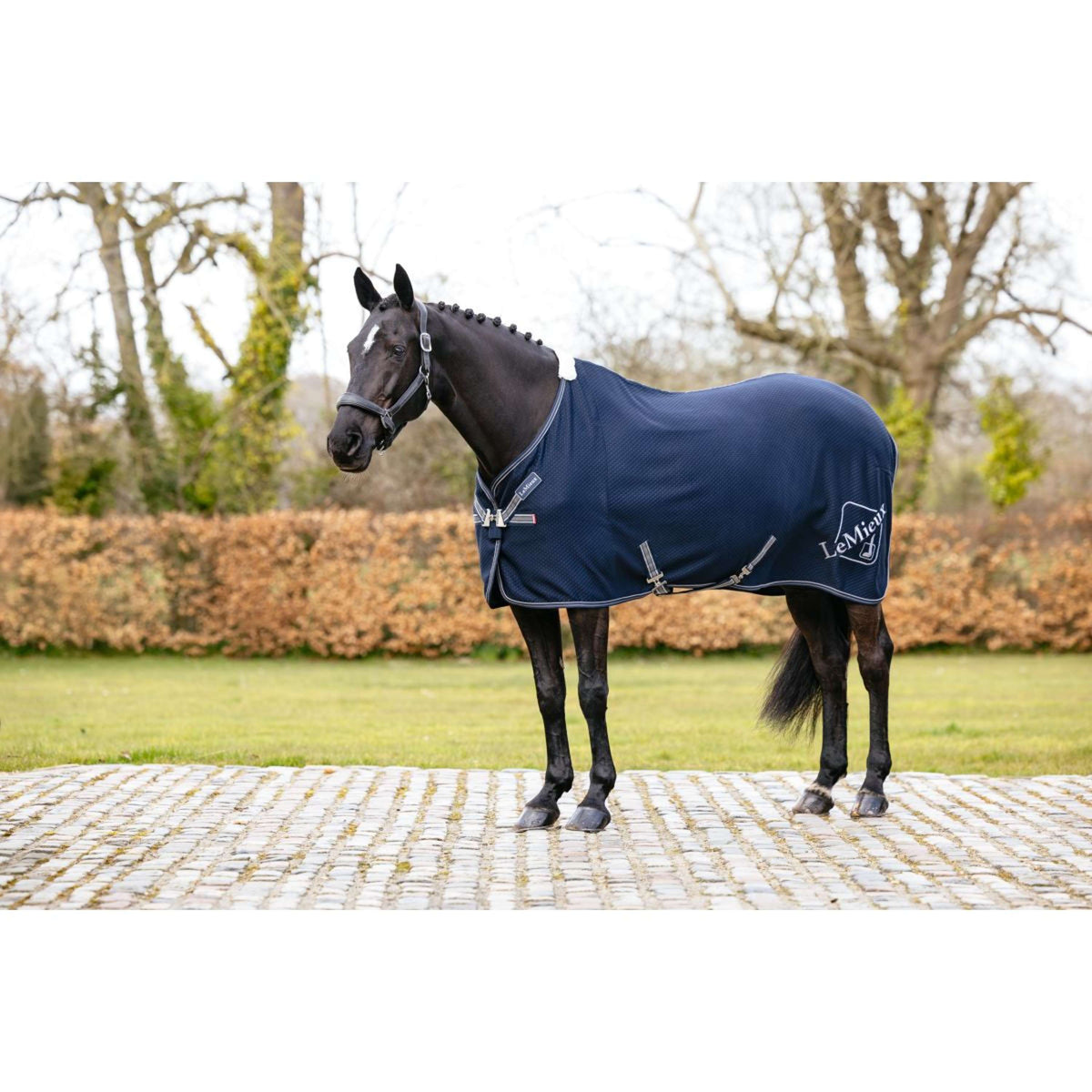 LeMieux Cooler Kudos Bamboo Navy