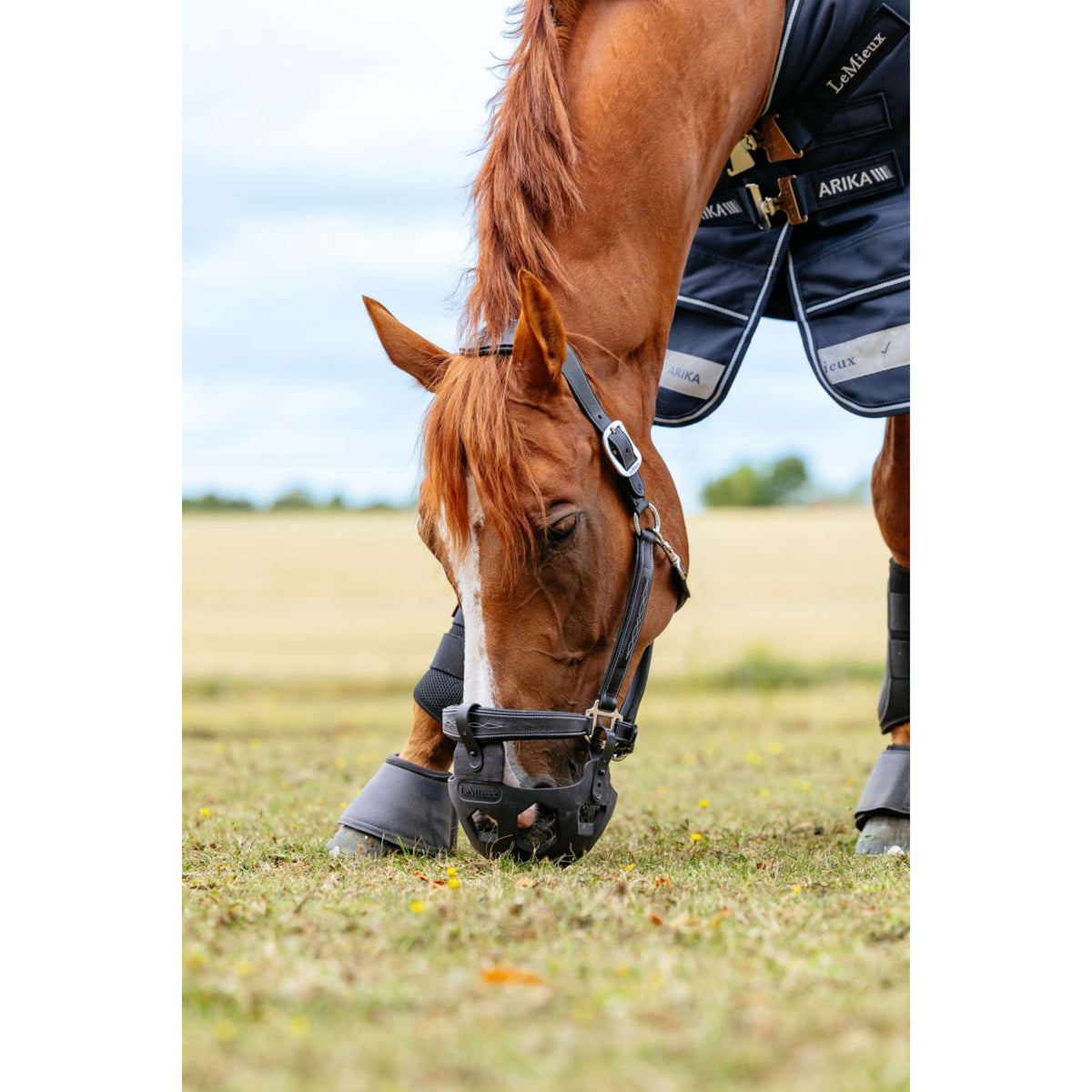 LeMieux Graasmasker Noma Zwart