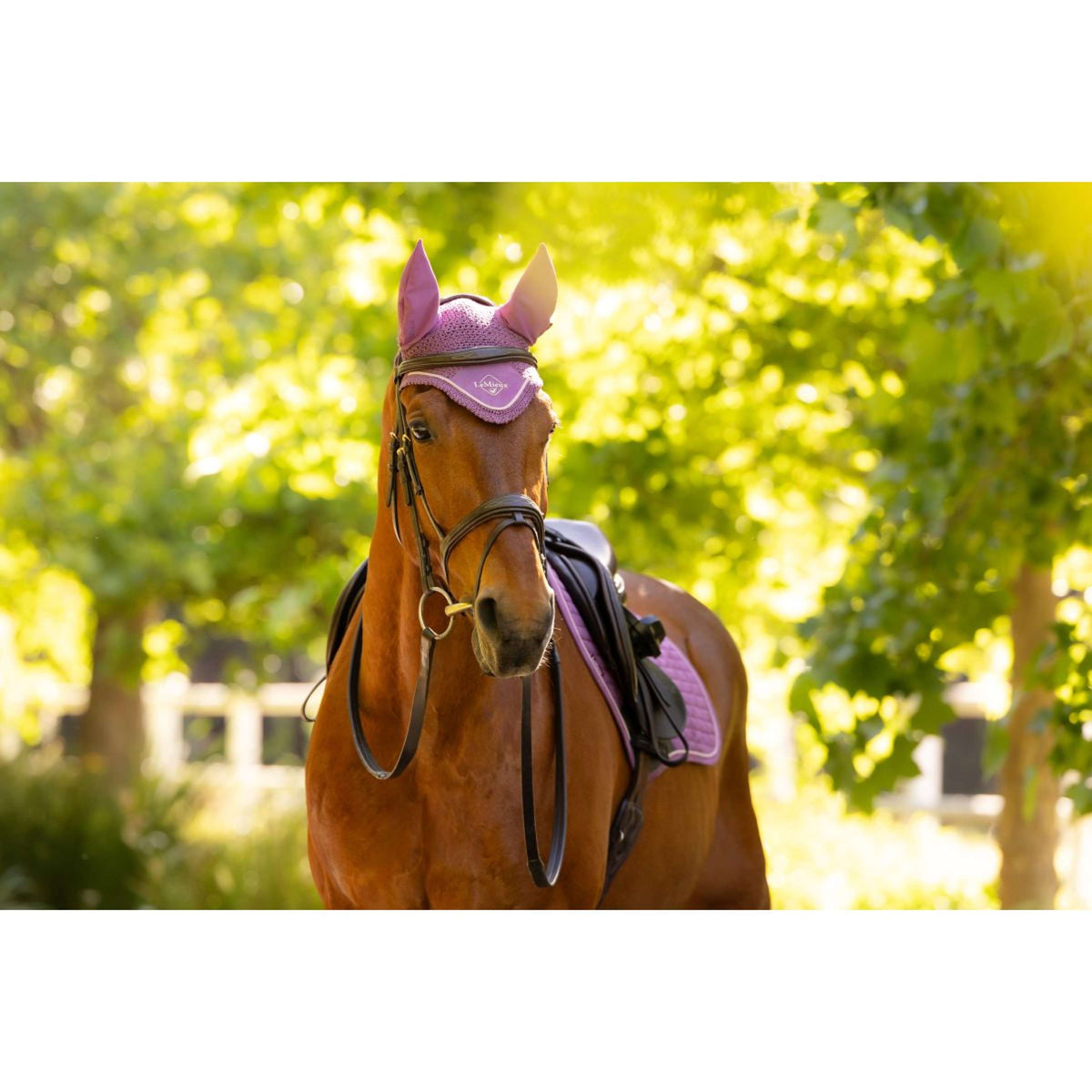 LeMieux Oornetje Classic Mallow