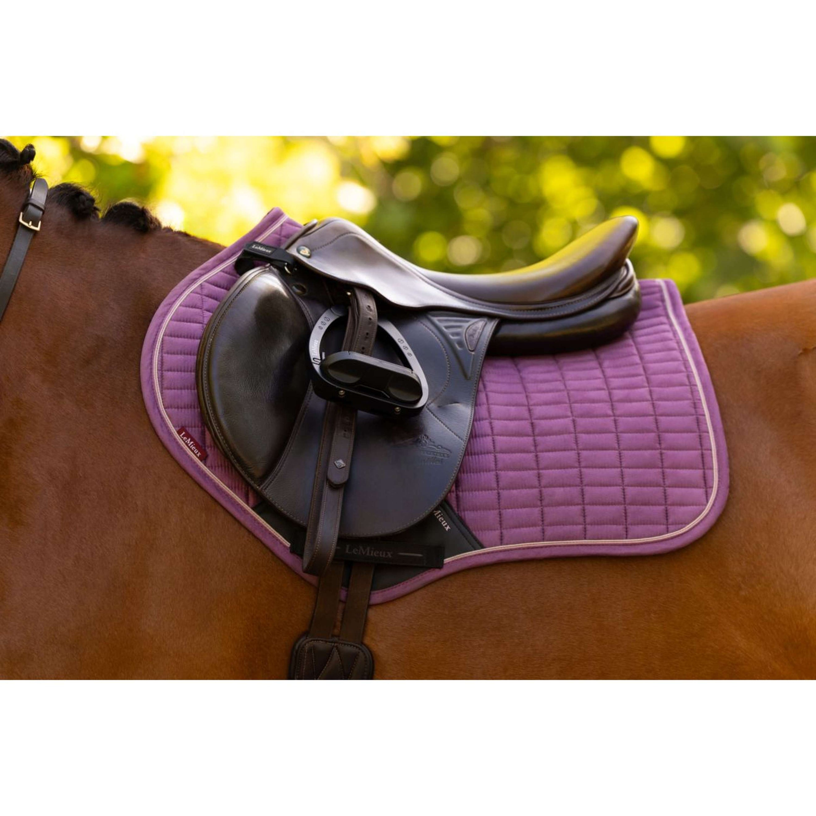 LeMieux Zadeldekje Suede Close Contact Square Springen Mallow LeMieux Zadeldekje Suede Close Contact Square Springen Mallow