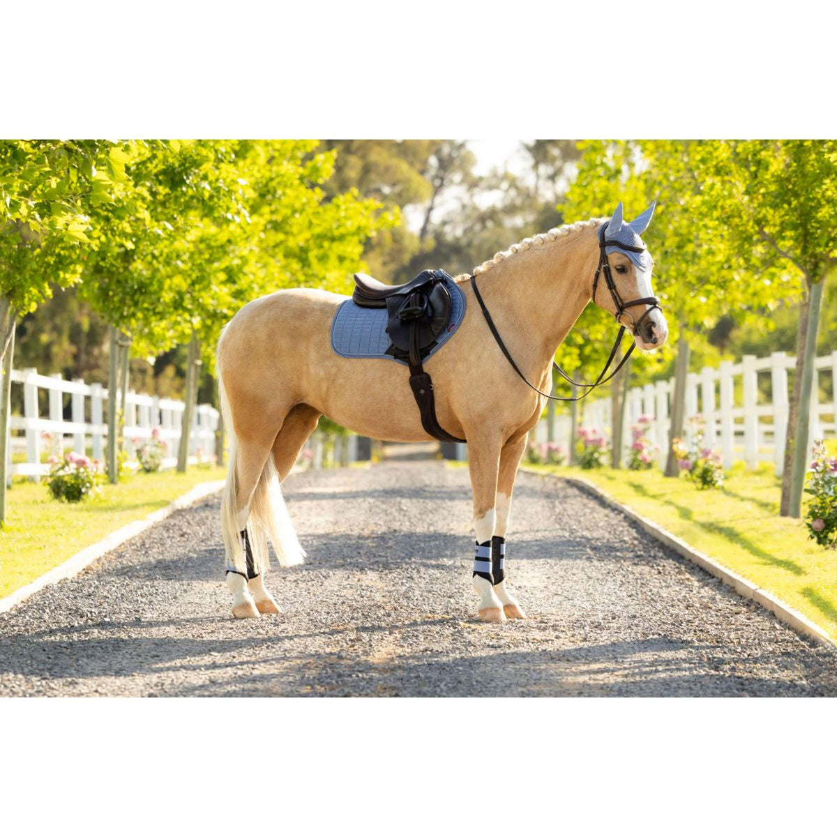 LeMieux Zadeldekje Suede Close Contact Square Springen Powder Blue