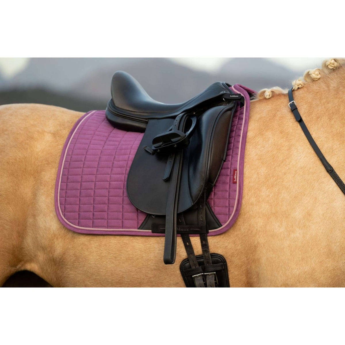 LeMieux Zadeldekje Suede Square Dressuur Mallow