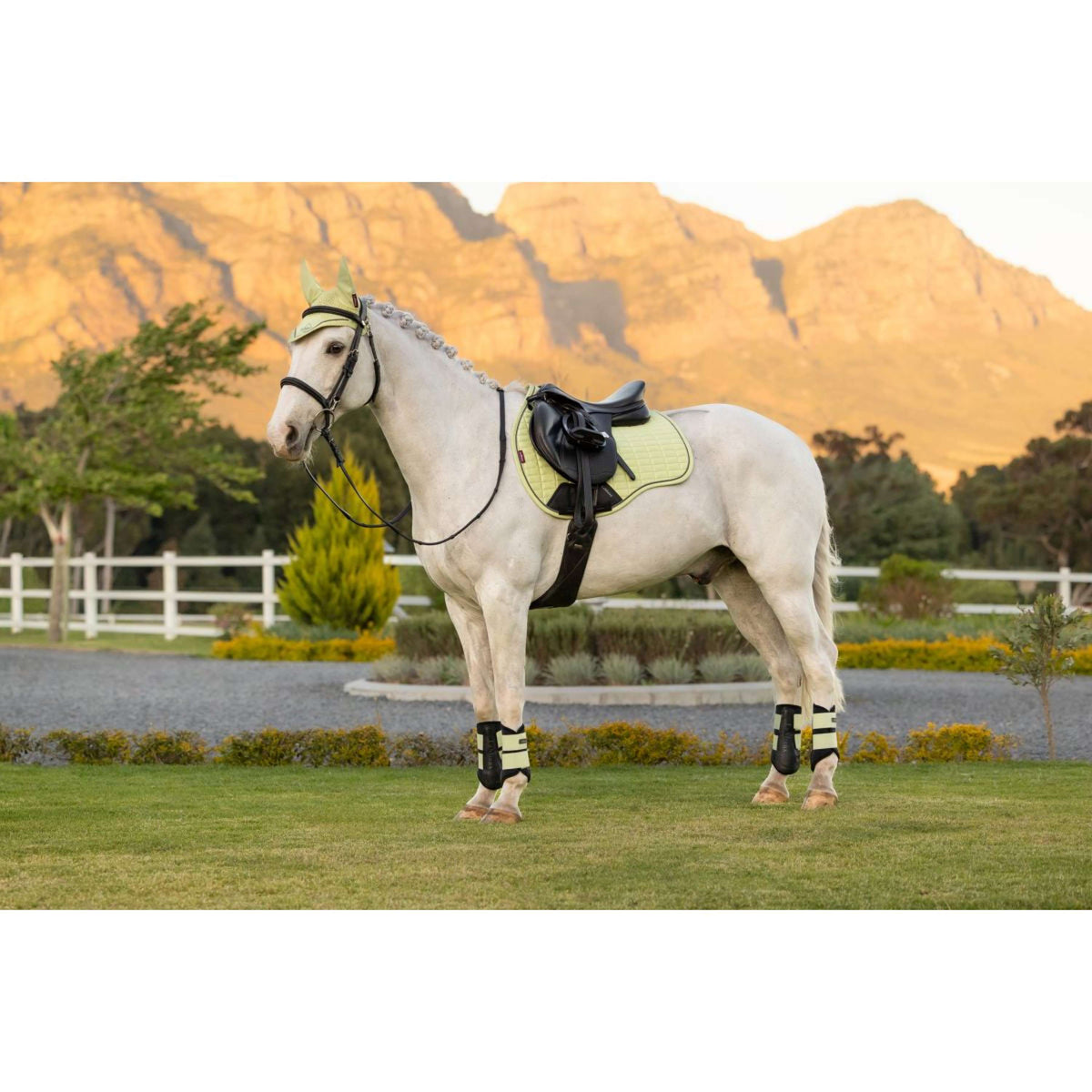 LeMieux Zadeldekje Suede Square Veelzijdigheid Macaron