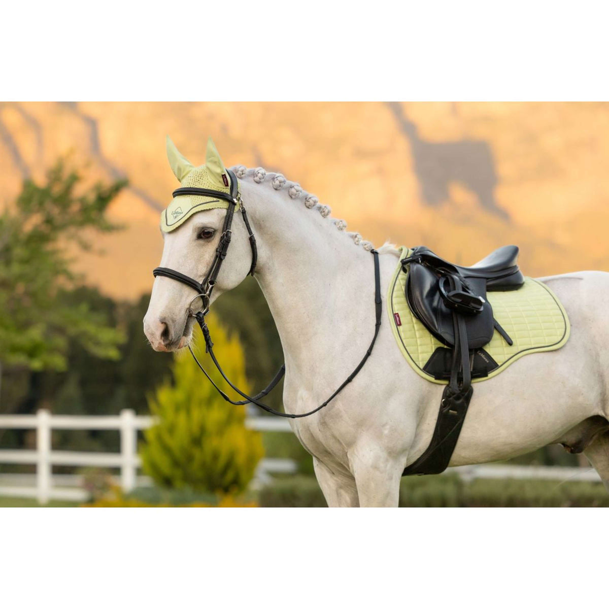 LeMieux Zadeldekje Suede Square Veelzijdigheid Macaron