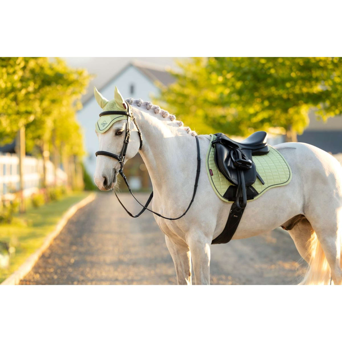 LeMieux Zadeldekje Suede Square Veelzijdigheid Macaron