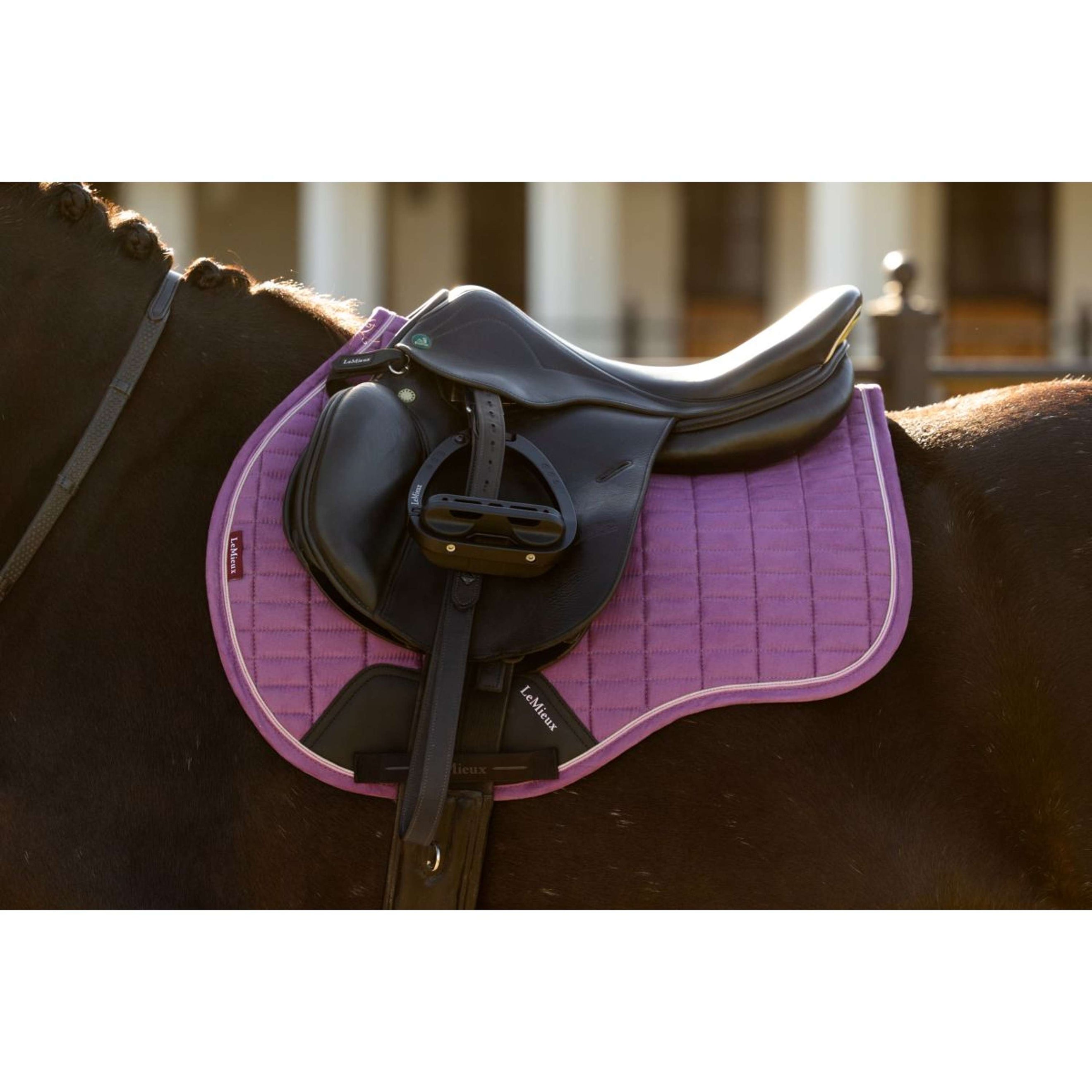 LeMieux Zadeldekje Suede Square Veelzijdigheid Mallow