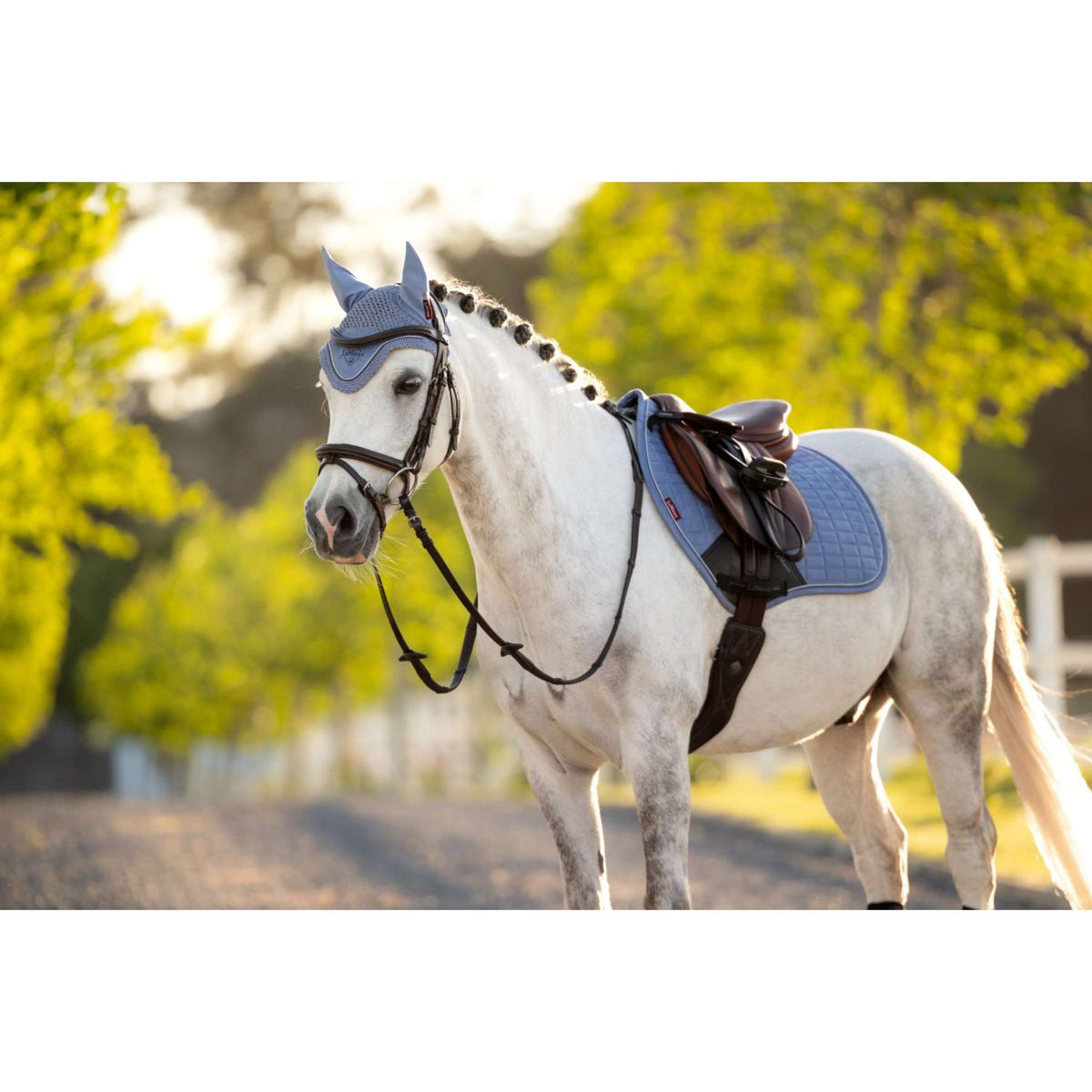 LeMieux Oornetje Mini Classic Powder Blue