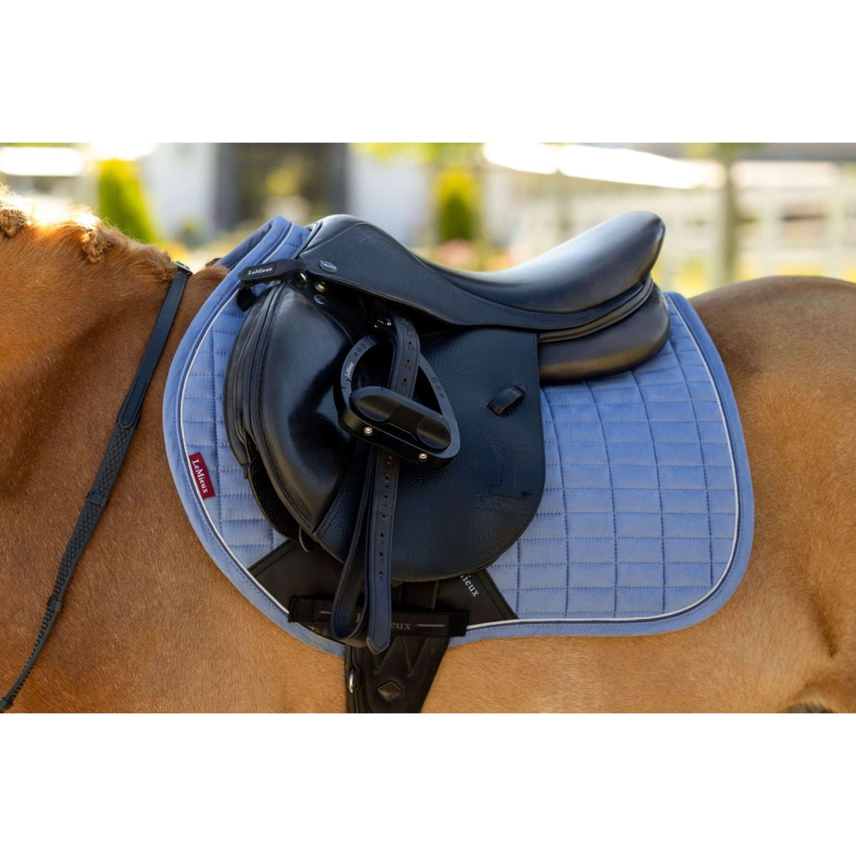 LeMieux Zadeldekje Mini Suede Close Contact Square Springen Powder Blue