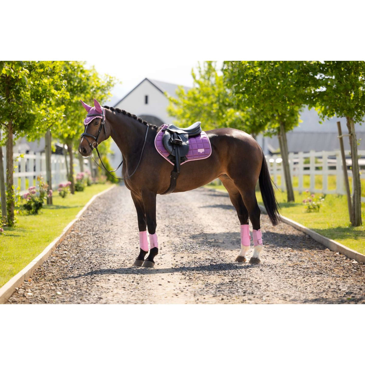 LeMieux Zadeldekje Loire Classic Close Contact Square Springen Mallow