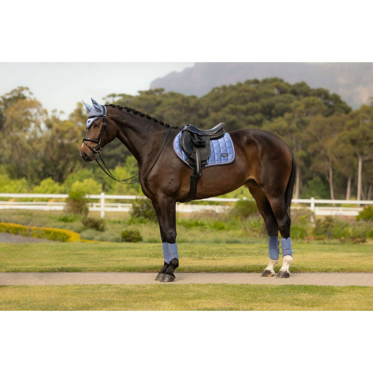 LeMieux Zadeldekje Loire Classic Close Contact Square Springen Powder Blue