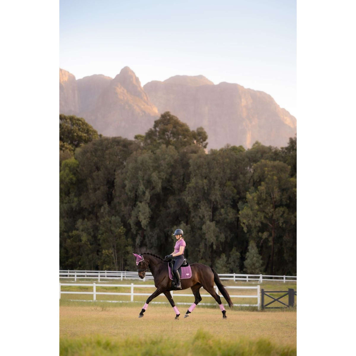 LeMieux Zadeldekje Loire Classic Square Dressuur Mallow