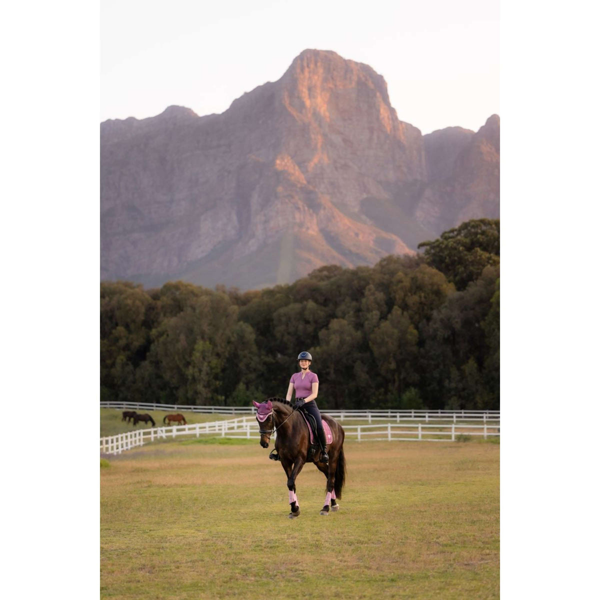 LeMieux Zadeldekje Loire Classic Square Dressuur Mallow