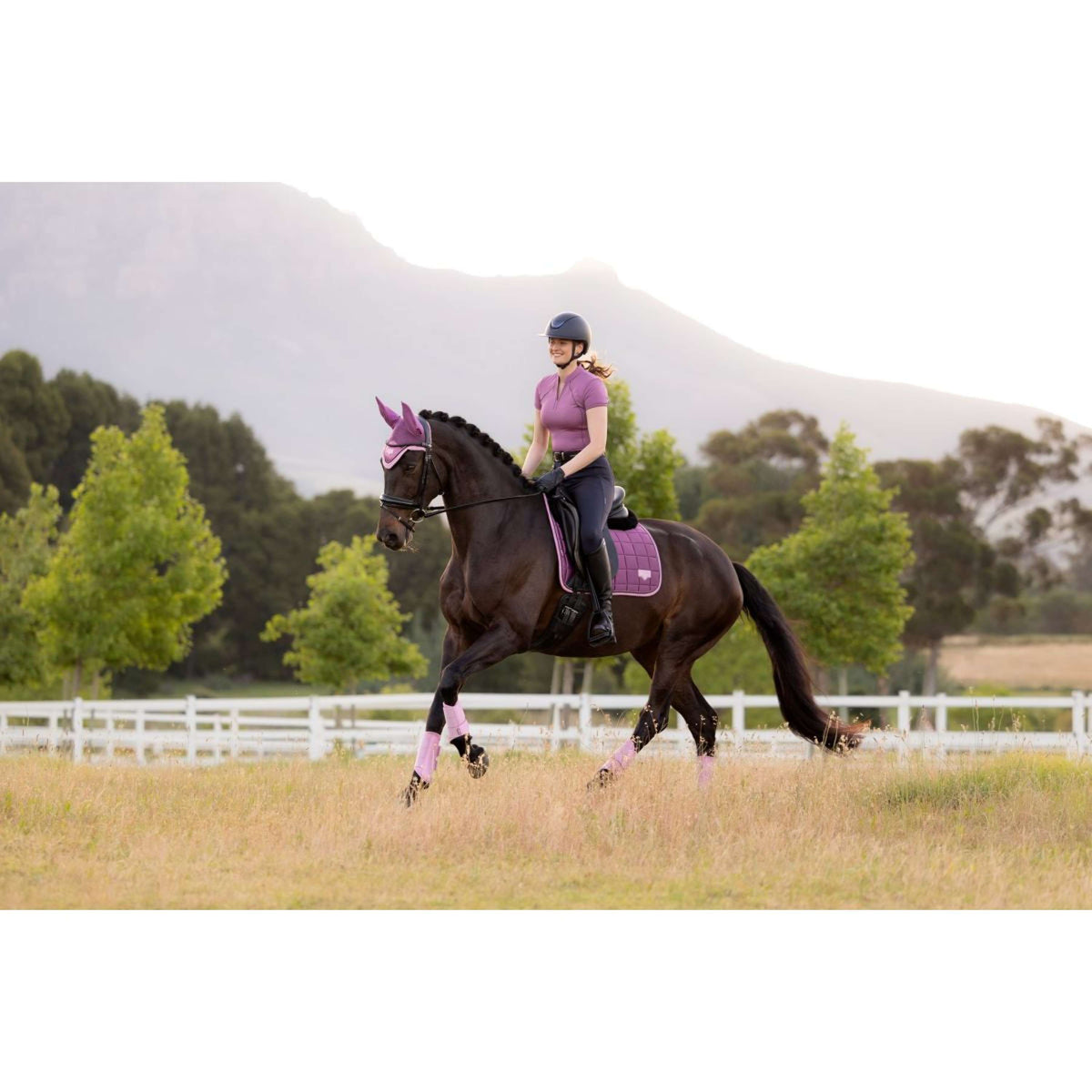 LeMieux Zadeldekje Loire Classic Square Dressuur Mallow