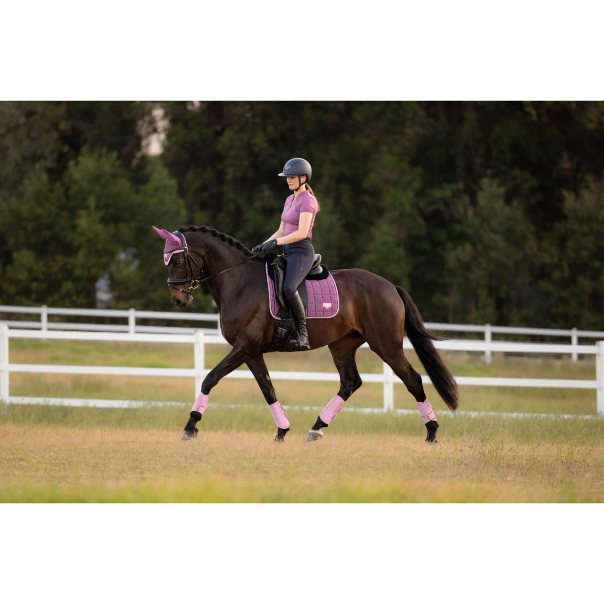 LeMieux Zadeldekje Loire Classic Square Dressuur Mallow