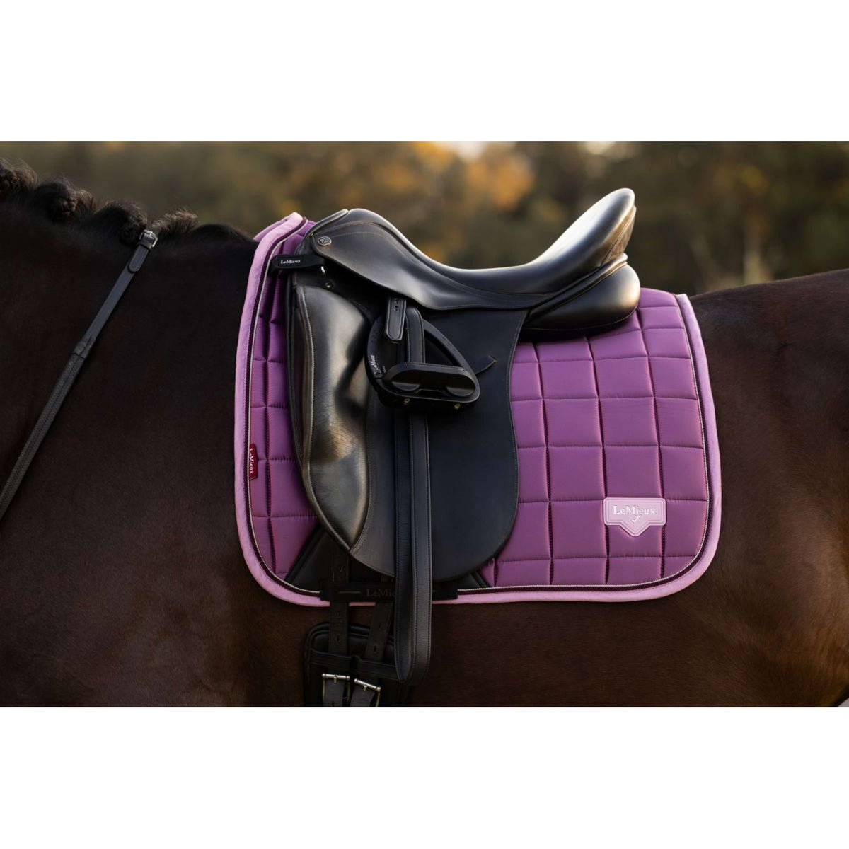 LeMieux Zadeldekje Loire Classic Square Dressuur Mallow