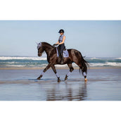 LeMieux Zadeldekje Loire Classic Square Dressuur Powder Blue