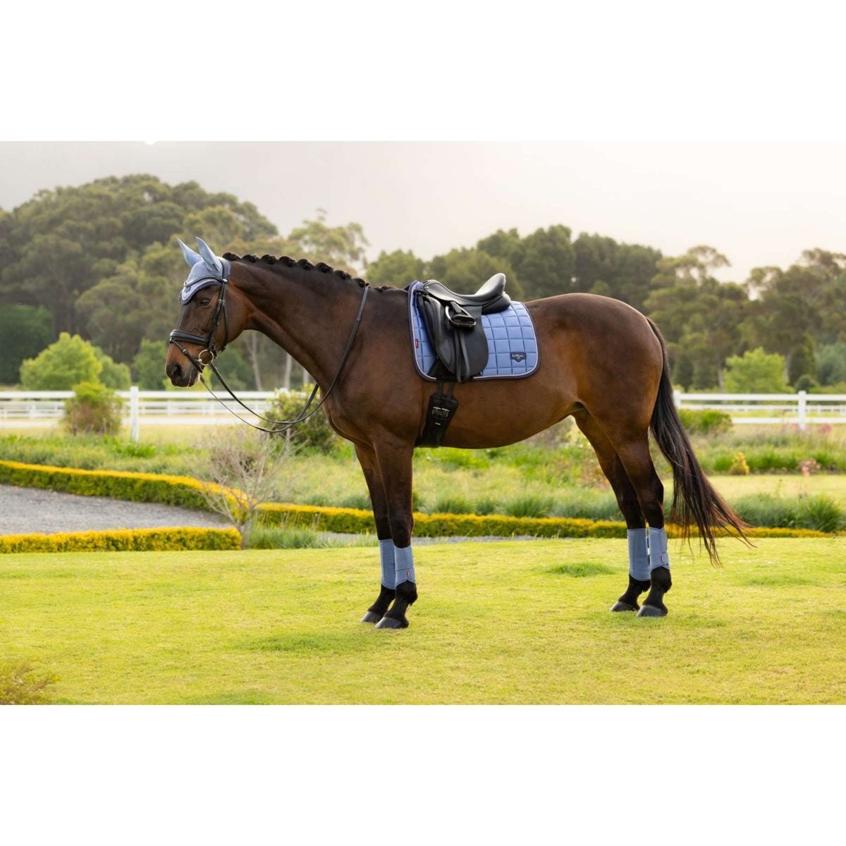 LeMieux Zadeldekje Loire Classic Square Dressuur Powder Blue