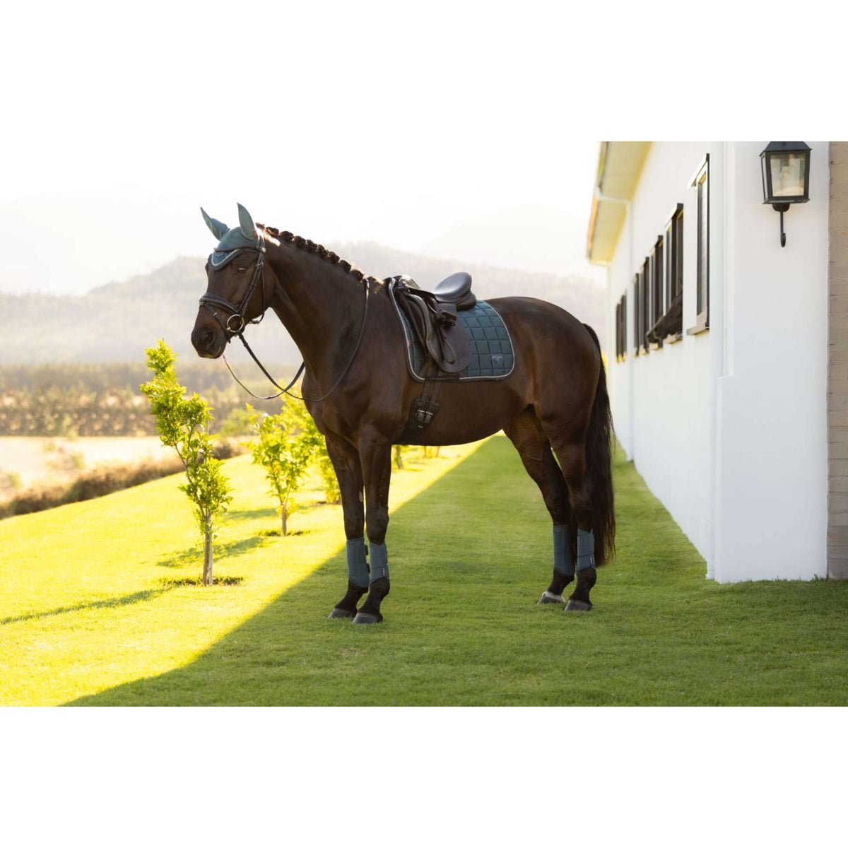 LeMieux Zadeldekje Loire Classic Square Dressuur Jungle