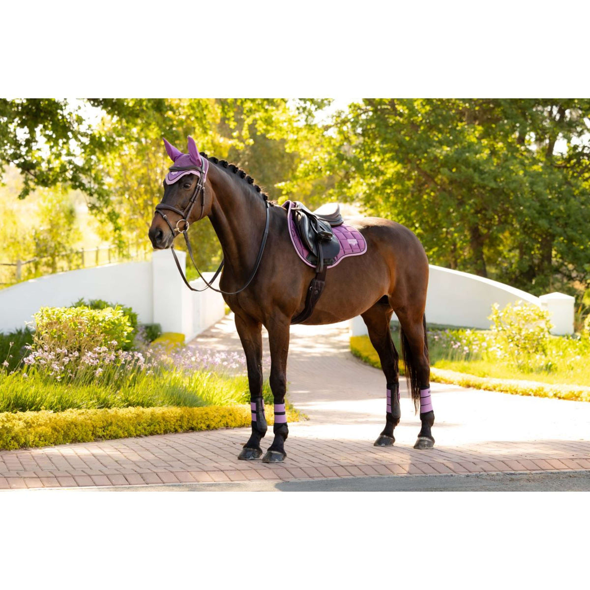 LeMieux Zadeldekje Loire Classic Square Veelzijdigheid Mallow