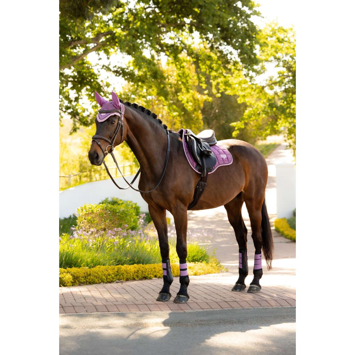 LeMieux Zadeldekje Loire Classic Square Veelzijdigheid Mallow