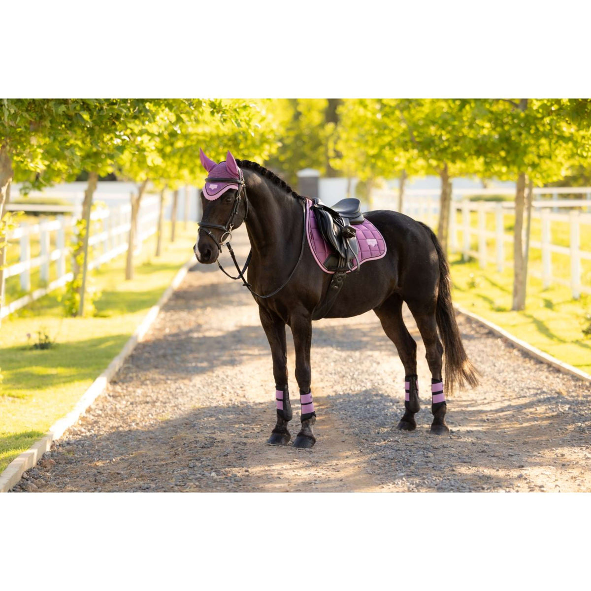 LeMieux Zadeldekje Loire Classic Square Veelzijdigheid Mallow