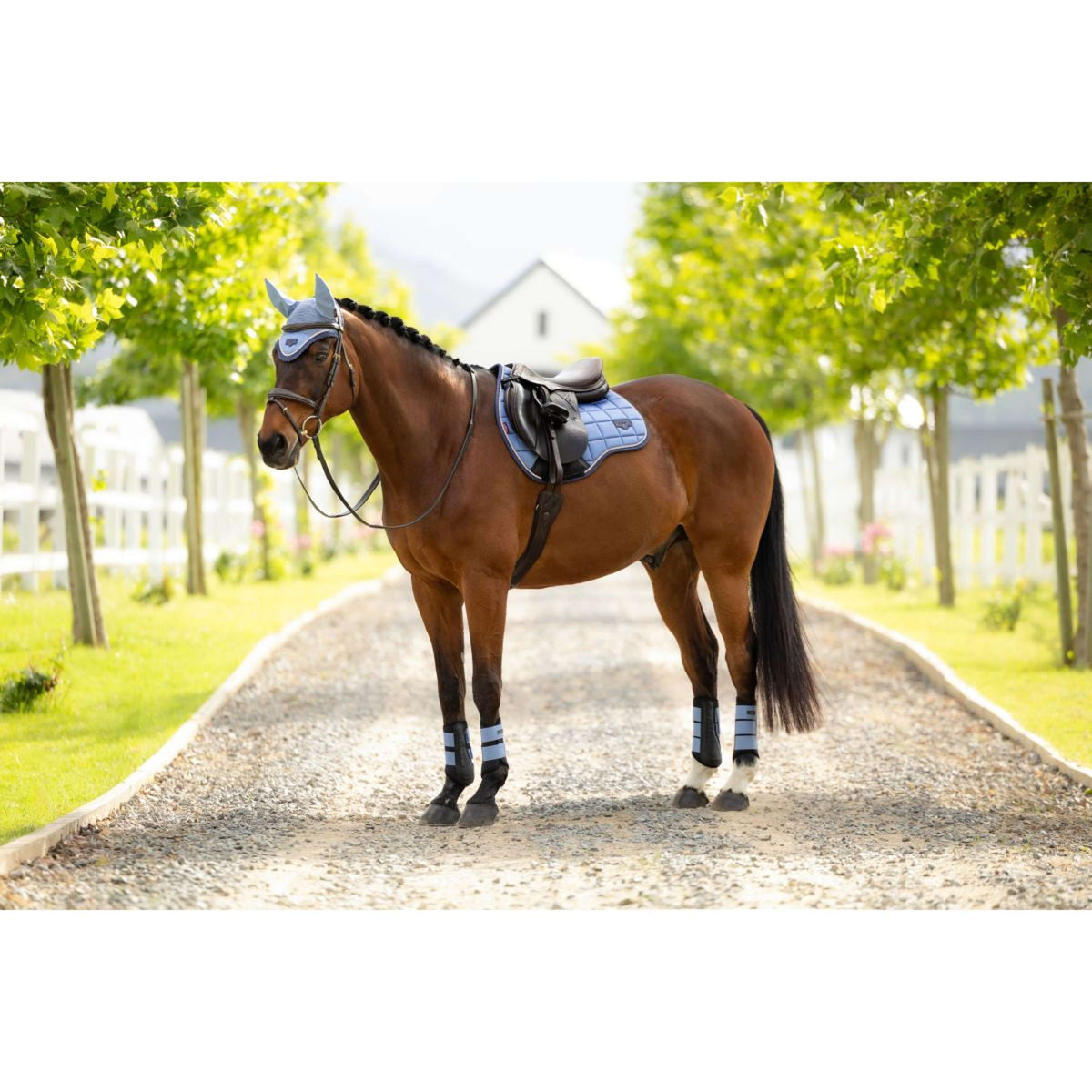 LeMieux Zadeldekje Loire Classic Square Veelzijdigheid Powder Blue