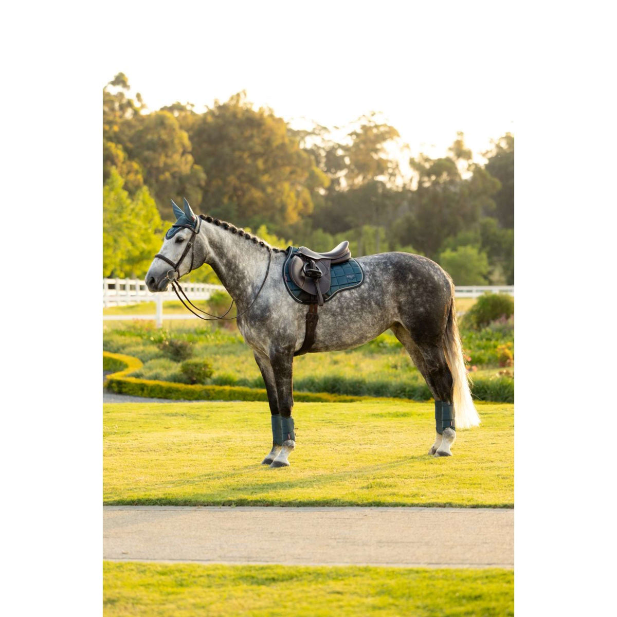 LeMieux Zadeldekje Loire Classic Square Veelzijdigheid Jungle