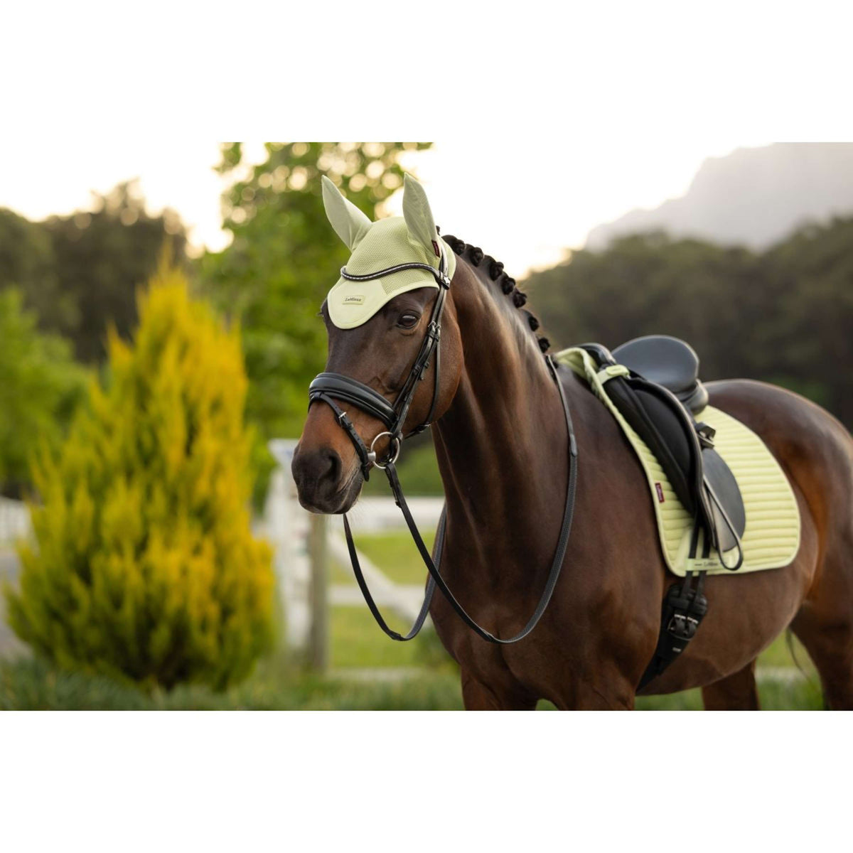 LeMieux Oornetje Air-Tek Mesh Macaron