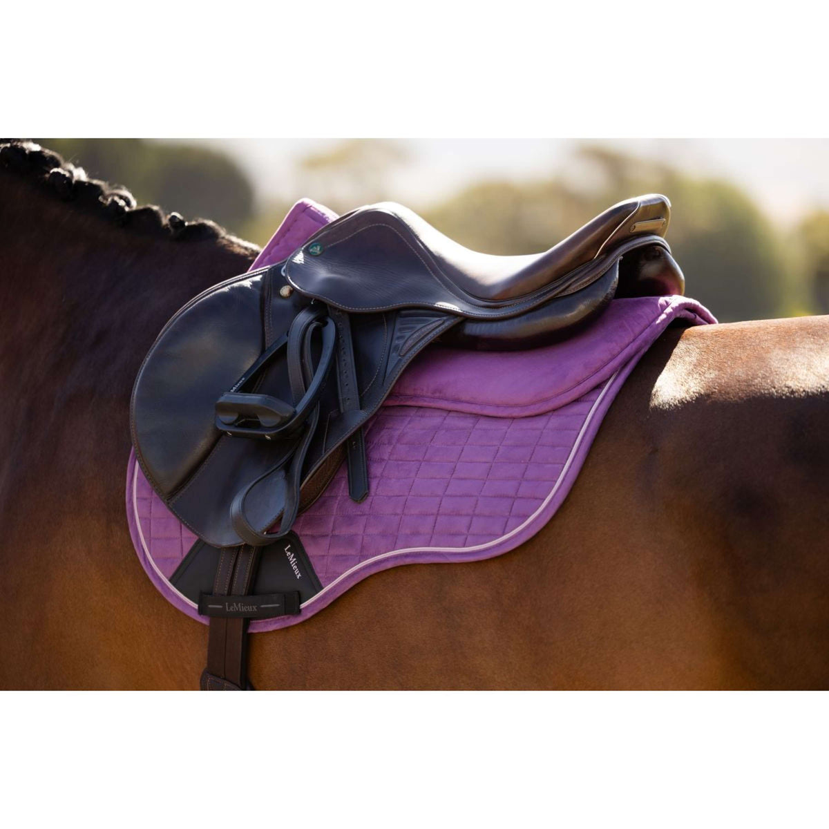 LeMieux Zadelonderlegger Suede Mallow