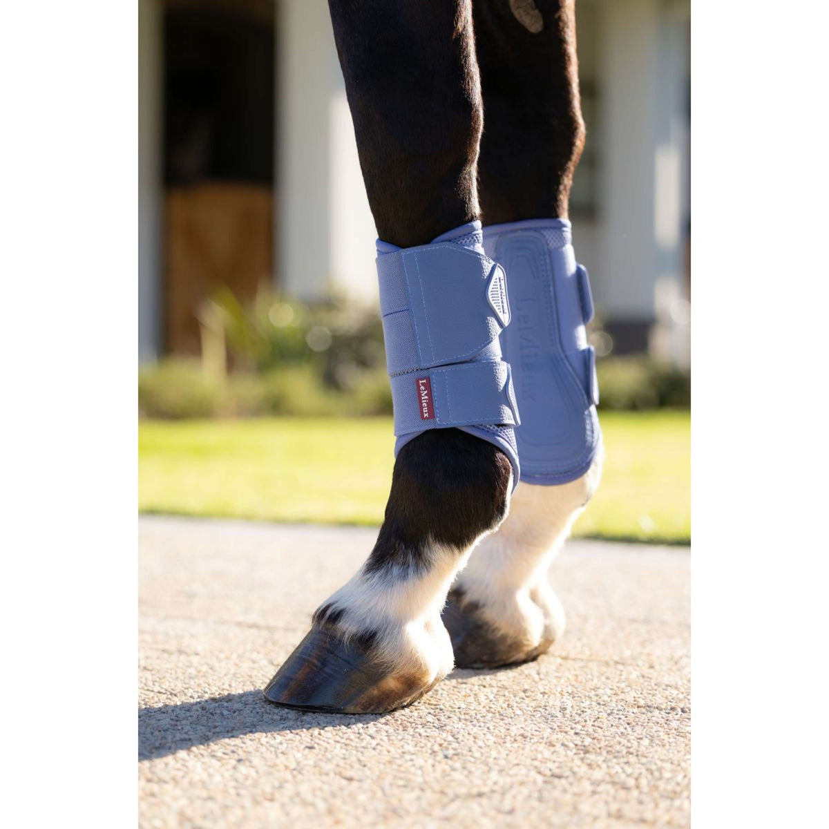 LeMieux Beenbeschermers Arika Mesh Powder Blue