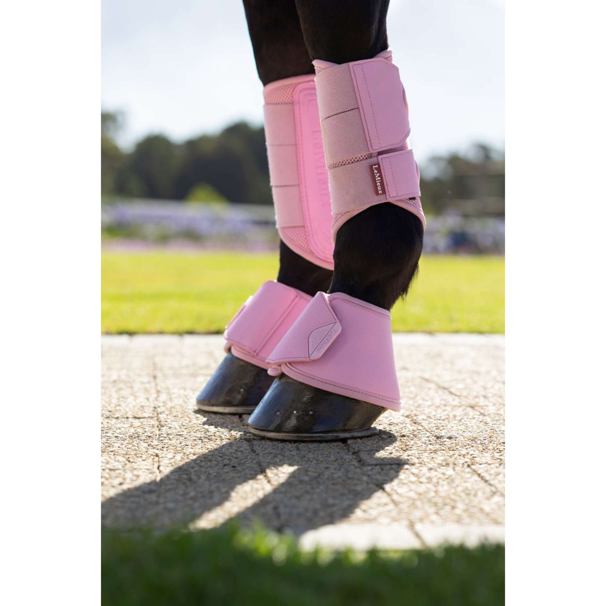 LeMieux Springschoenen Arika Fondant