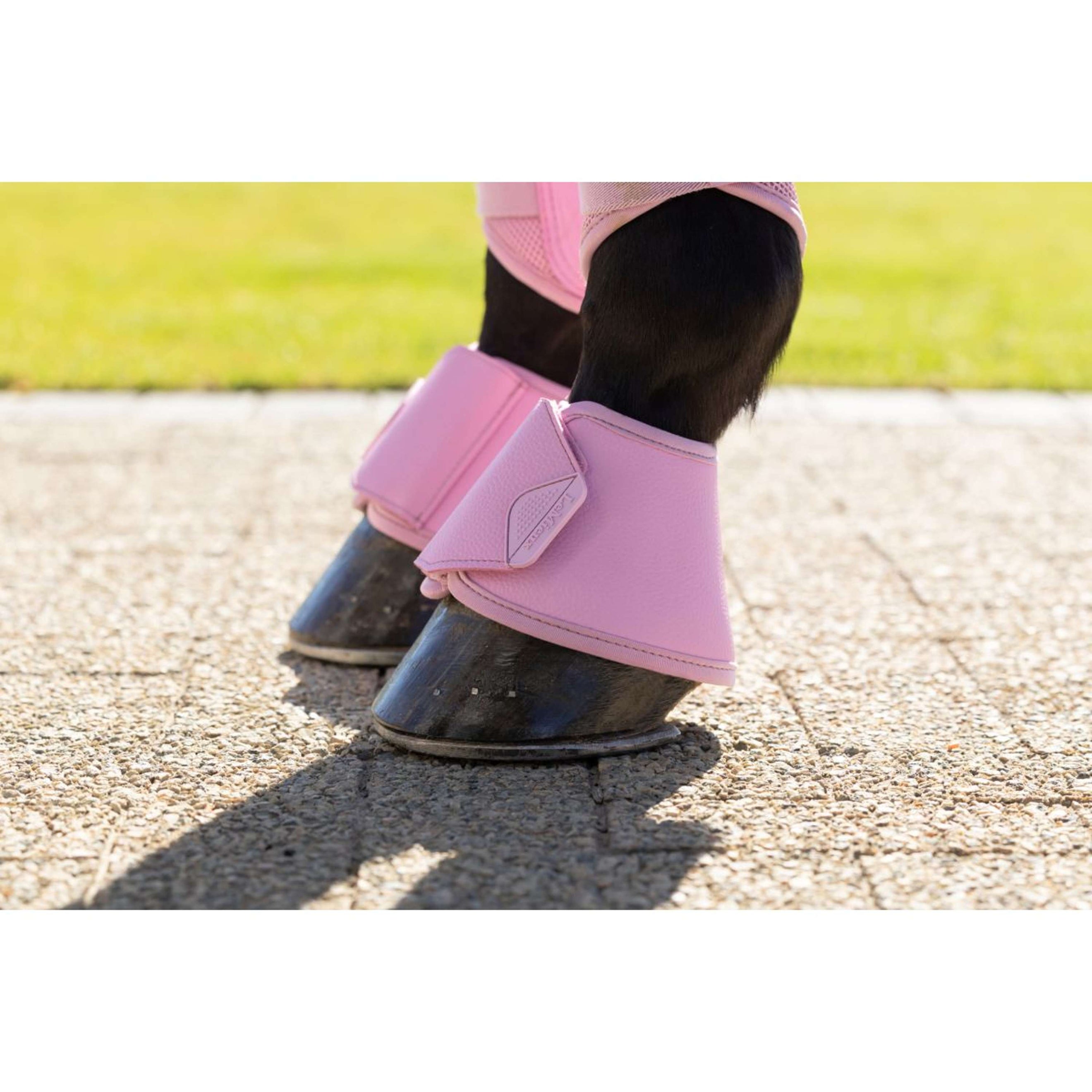 LeMieux Springschoenen Arika Fondant