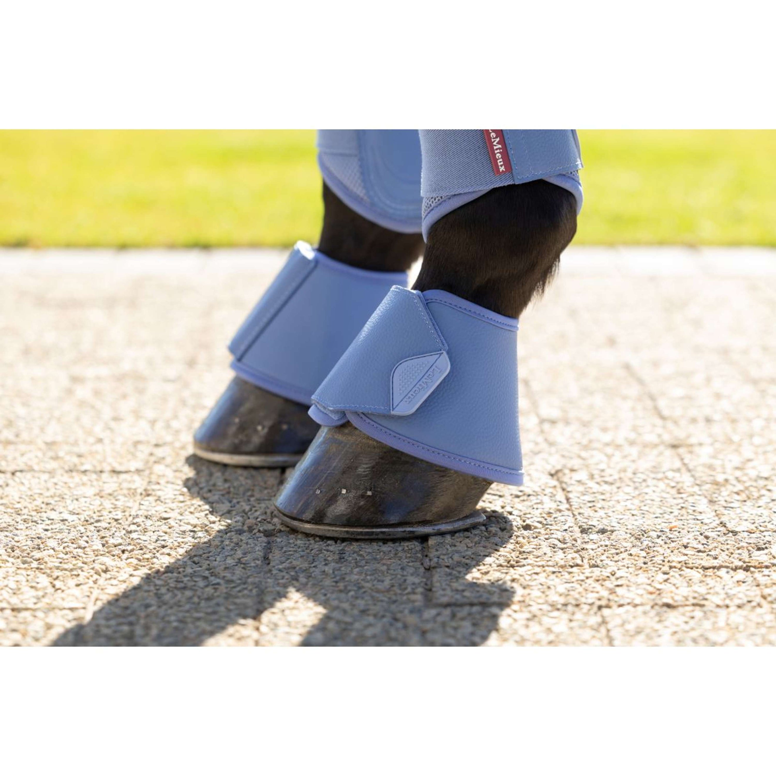 LeMieux Springschoenen Arika Powder Blue