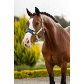 LeMieux Halsterset Vogue Macaron