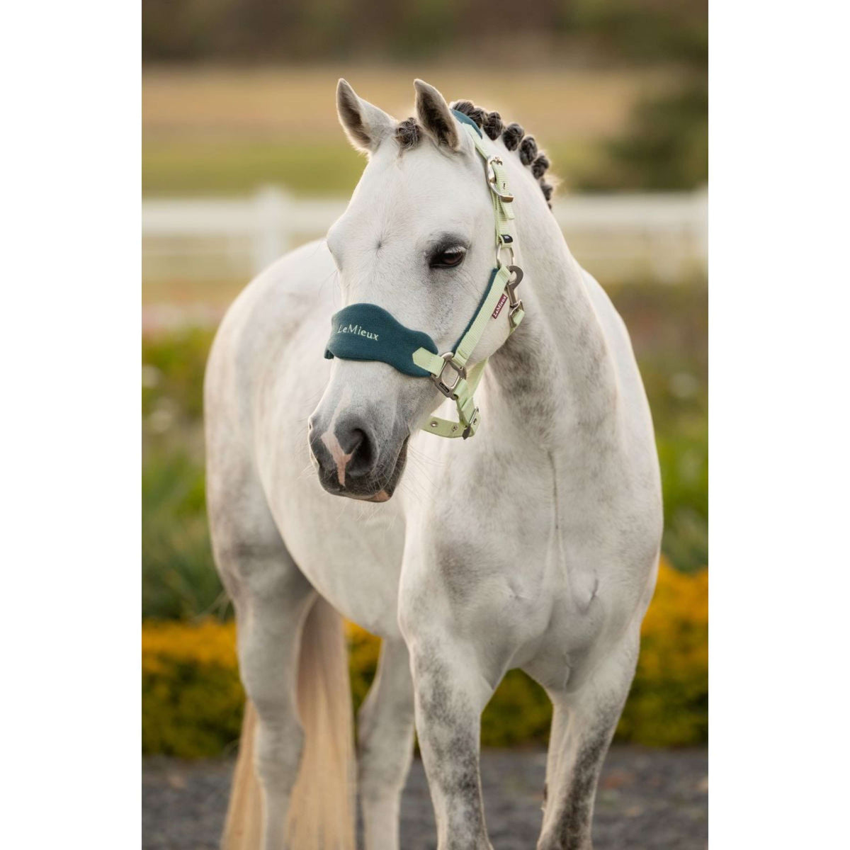 LeMieux Halsterset Mini Vogue Macaron
