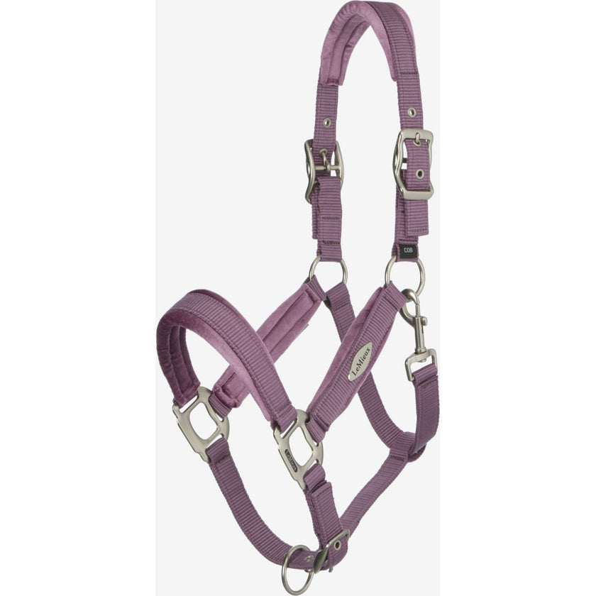 LeMieux Halster Versailles Mallow